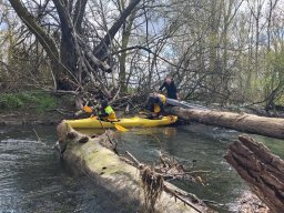 Anpaddeln, März 2026